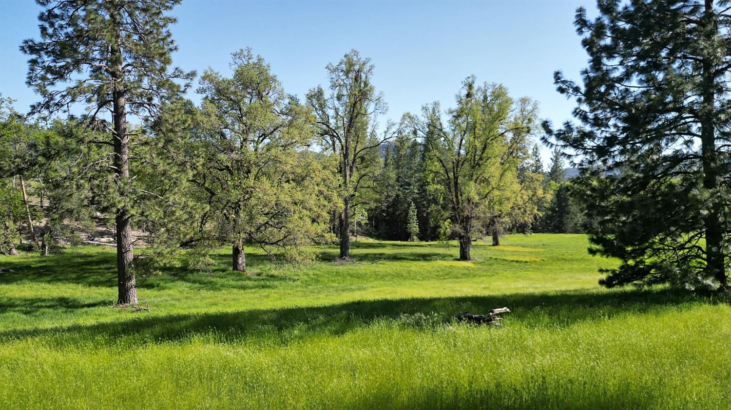 TBD Forest Road Fr2n07, Long Barn, California image 7