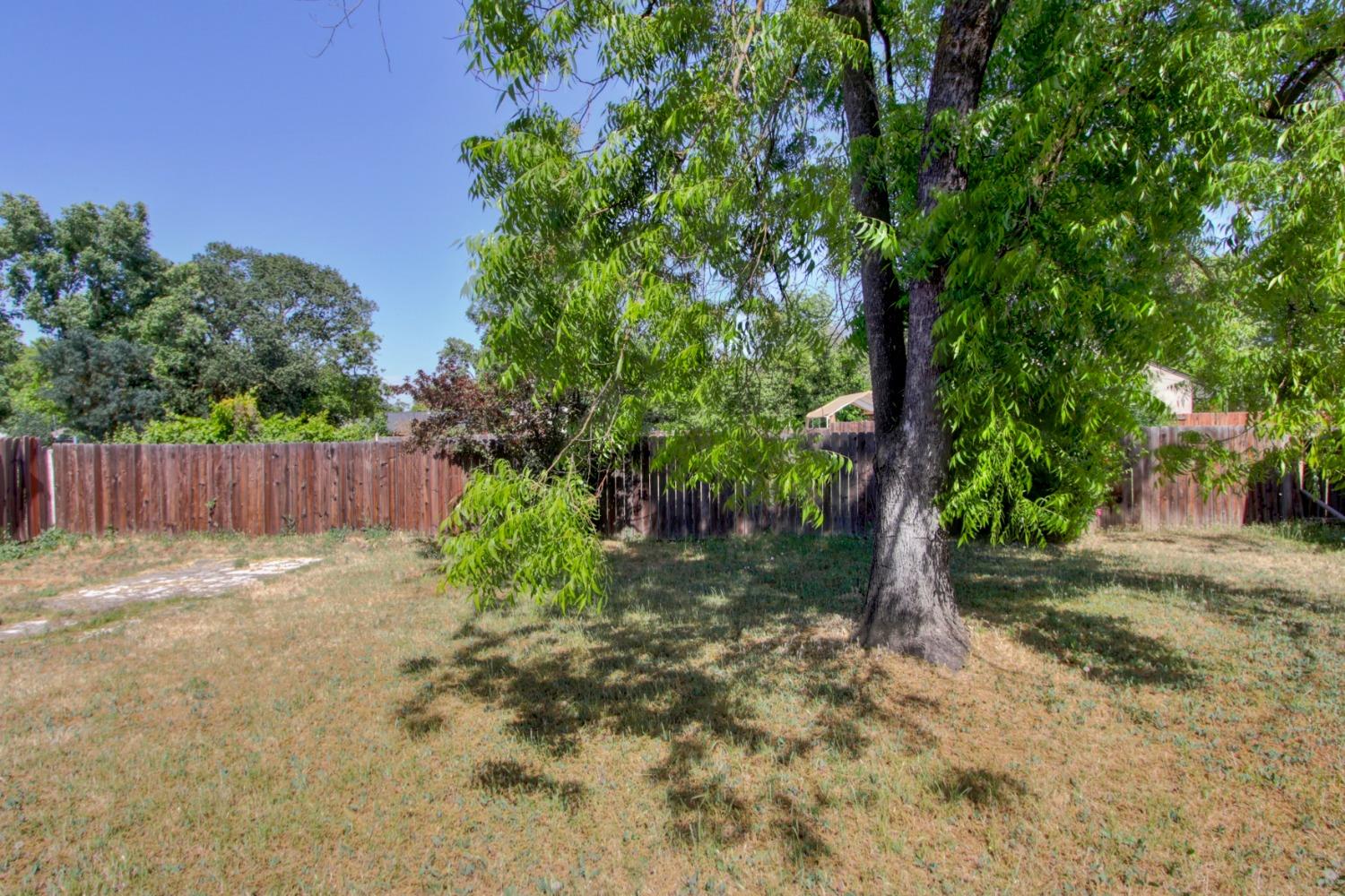 1025 Frienza Avenue