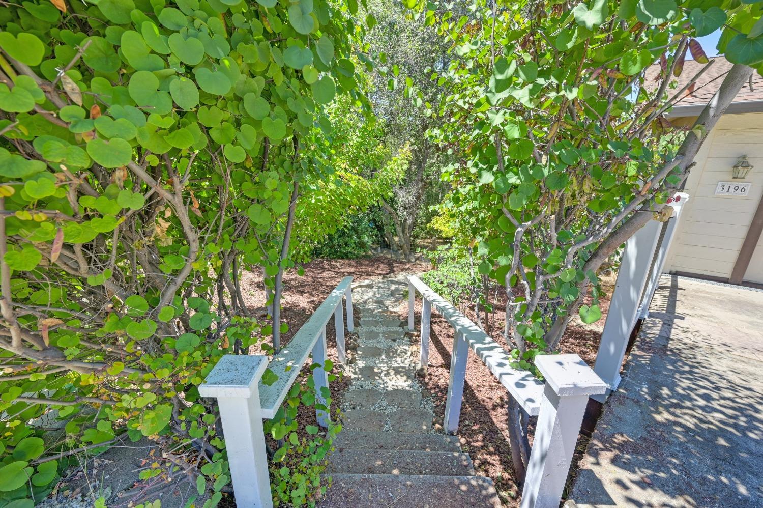 Sudbury Road, Cameron Park, California image 38