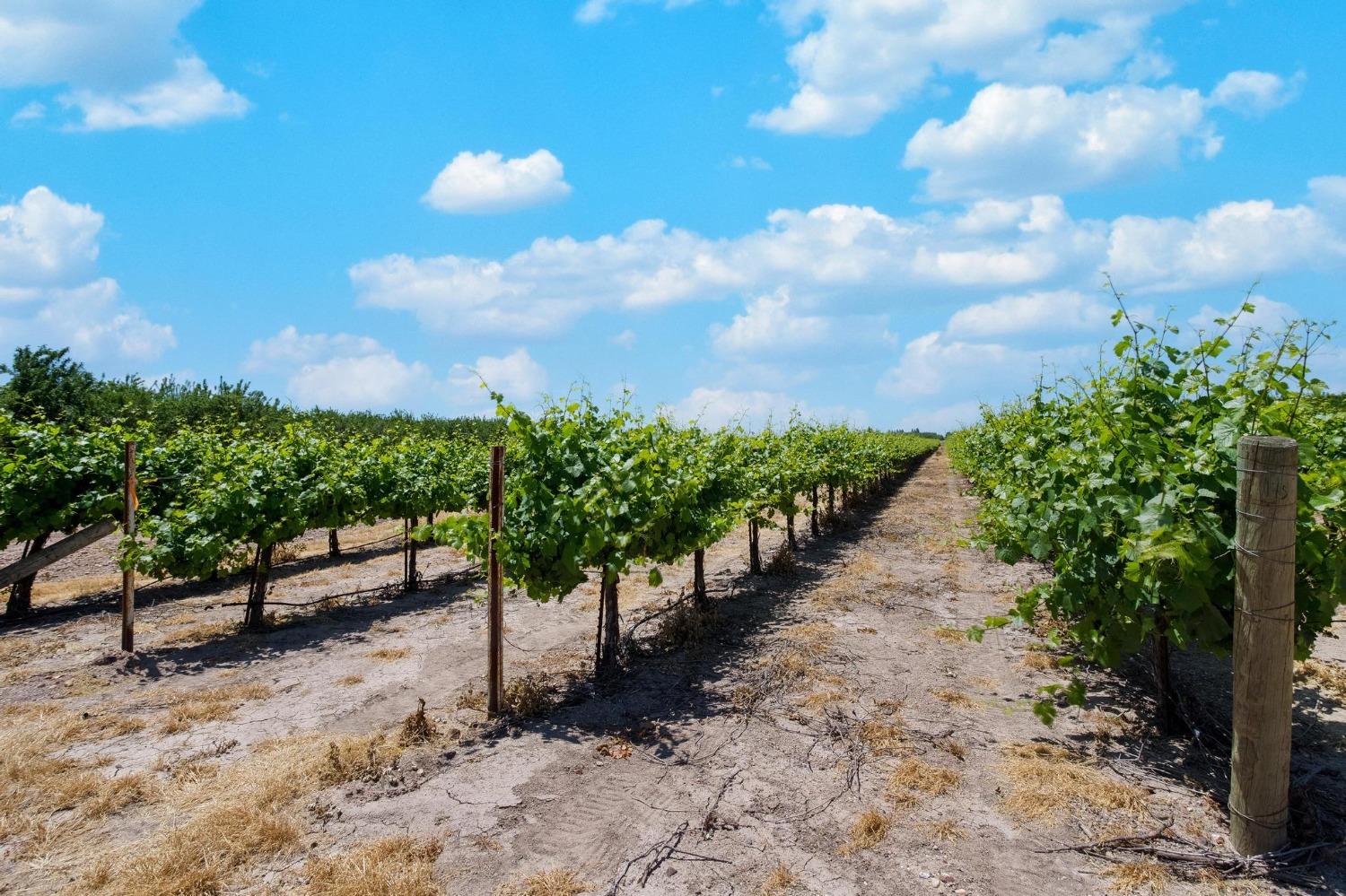 S Henry Road, Farmington, California image 18