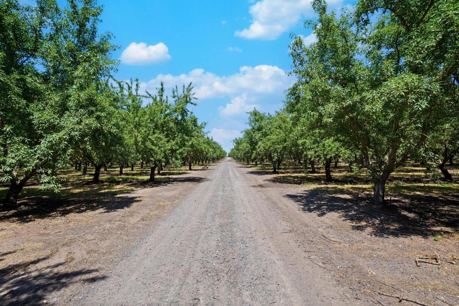 S Henry Road, Farmington, California image 20