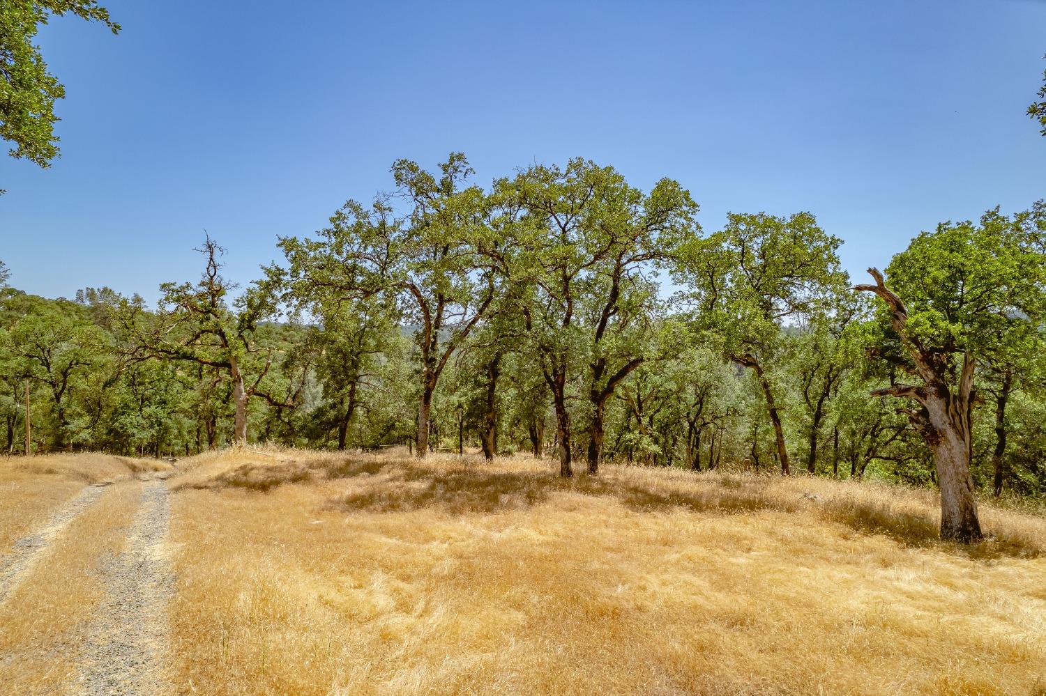 Photo of Heathcliff Ln in Auburn, CA