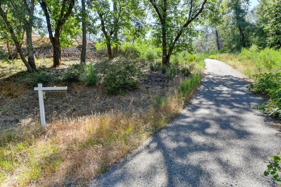 Detail Gallery Image 5 of 33 For 22670 Placer Hills Rd, Colfax,  CA 95713 - – Beds | – Baths