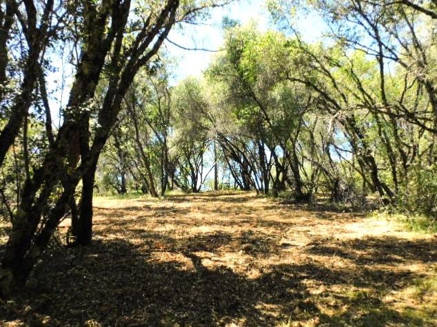 Photo of 10-Acres Dream Ranch Cir in Somerset, CA