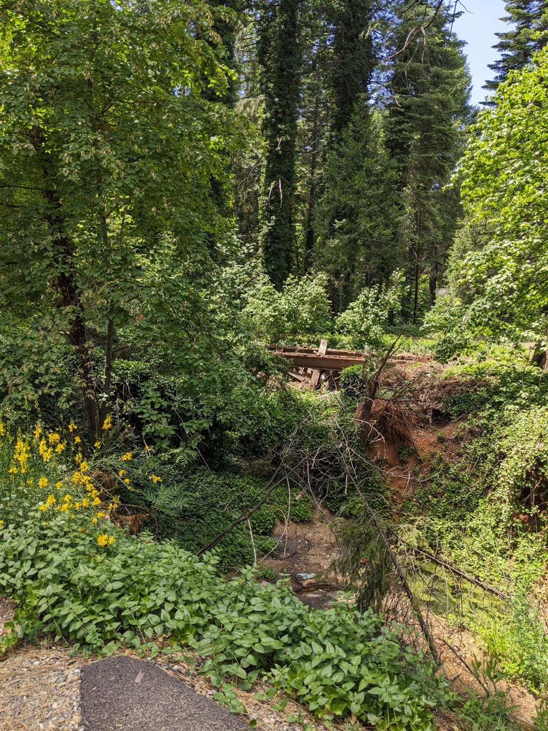 Pony Express Trail, Camino, California image 5