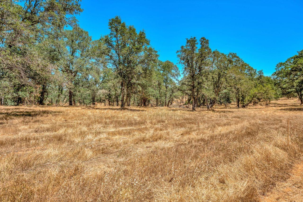 Barney Road, Plymouth, California image 39