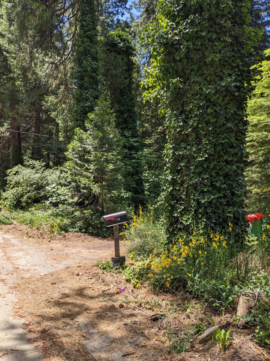 Pony Express Trail, Camino, California image 6