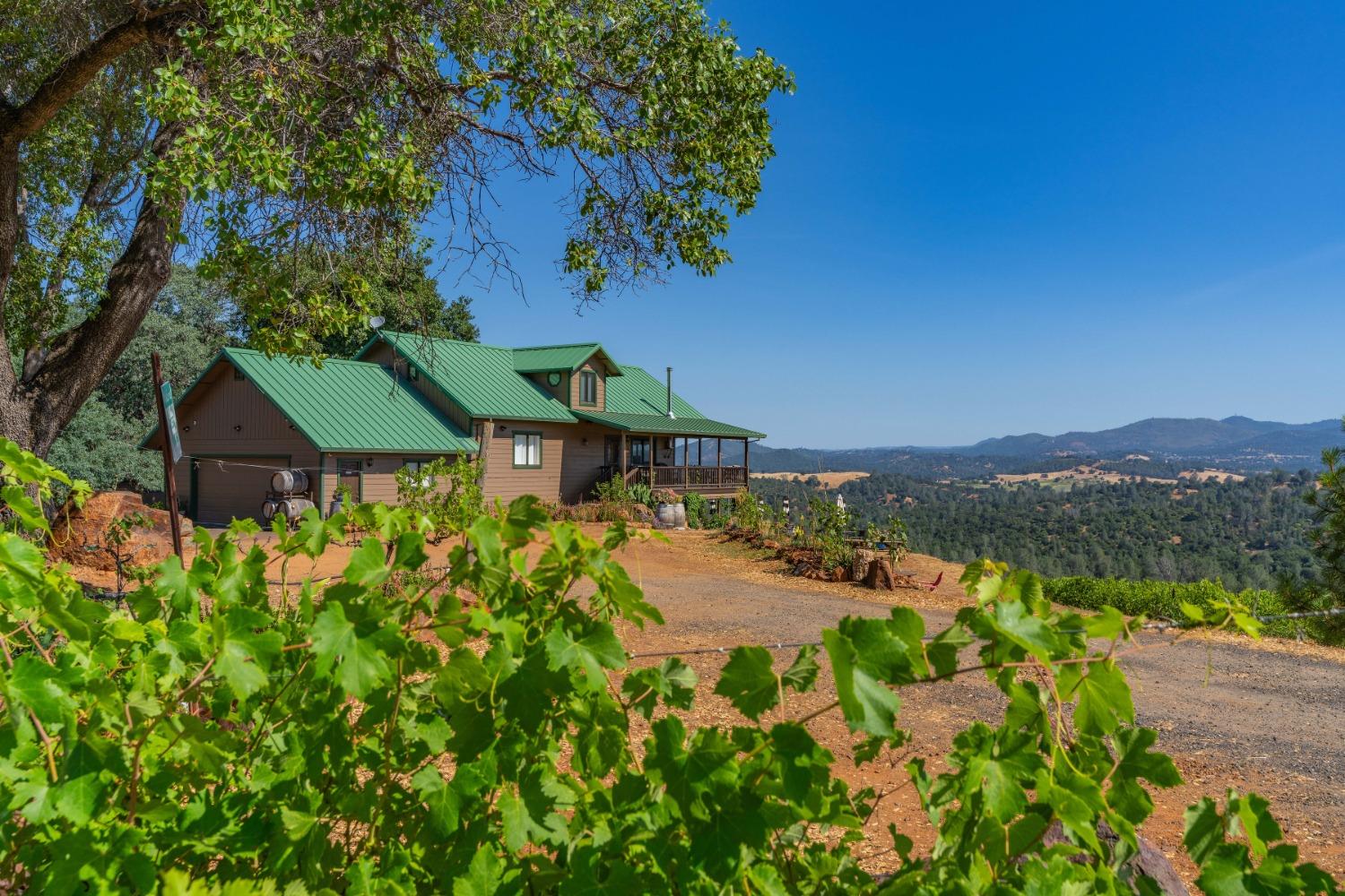 Algerine Road, Jamestown, California image 1