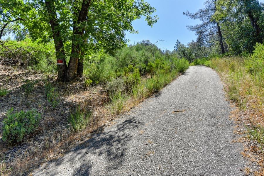 Detail Gallery Image 6 of 33 For 22670 Placer Hills Rd, Colfax,  CA 95713 - – Beds | – Baths