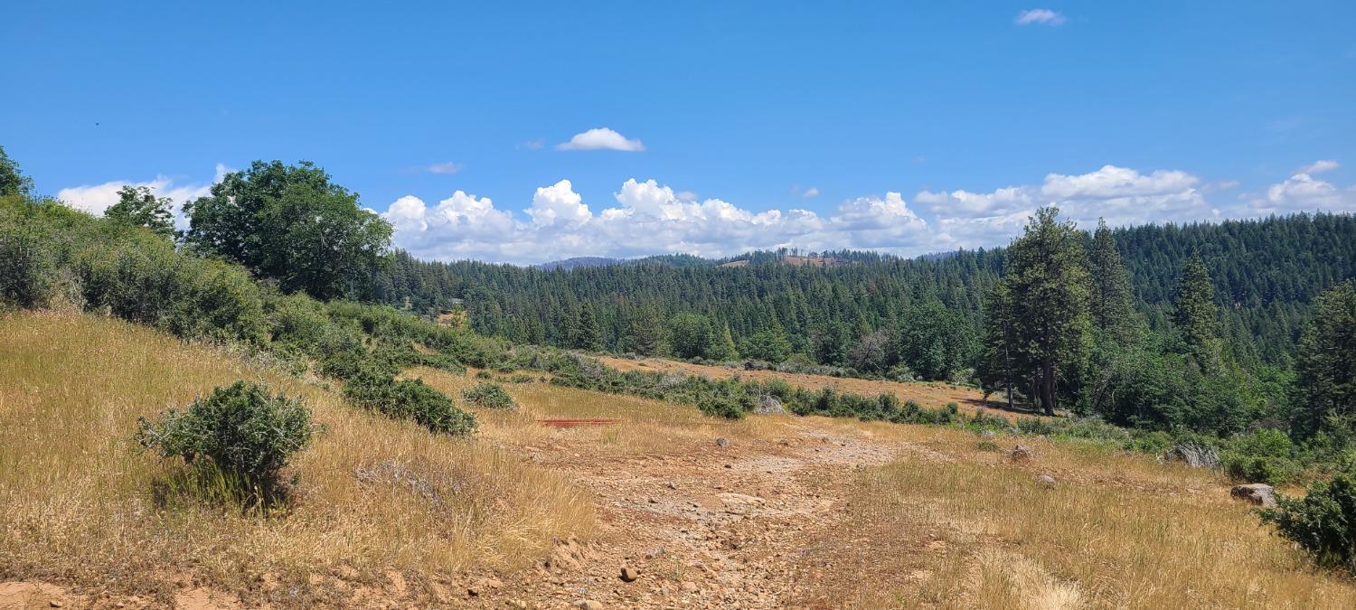 Canchalagua, Pollock Pines, California image 16