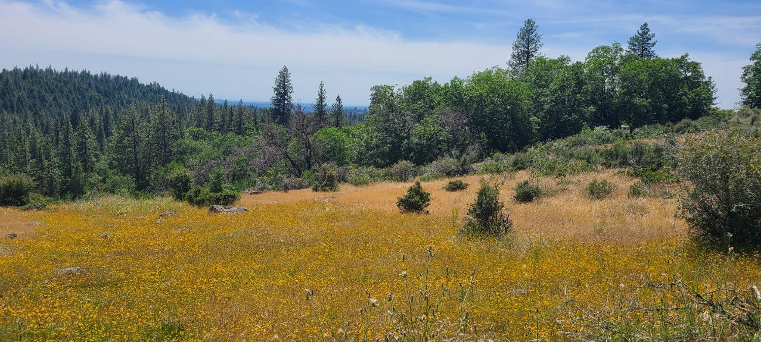 Canchalagua, Pollock Pines, California image 21