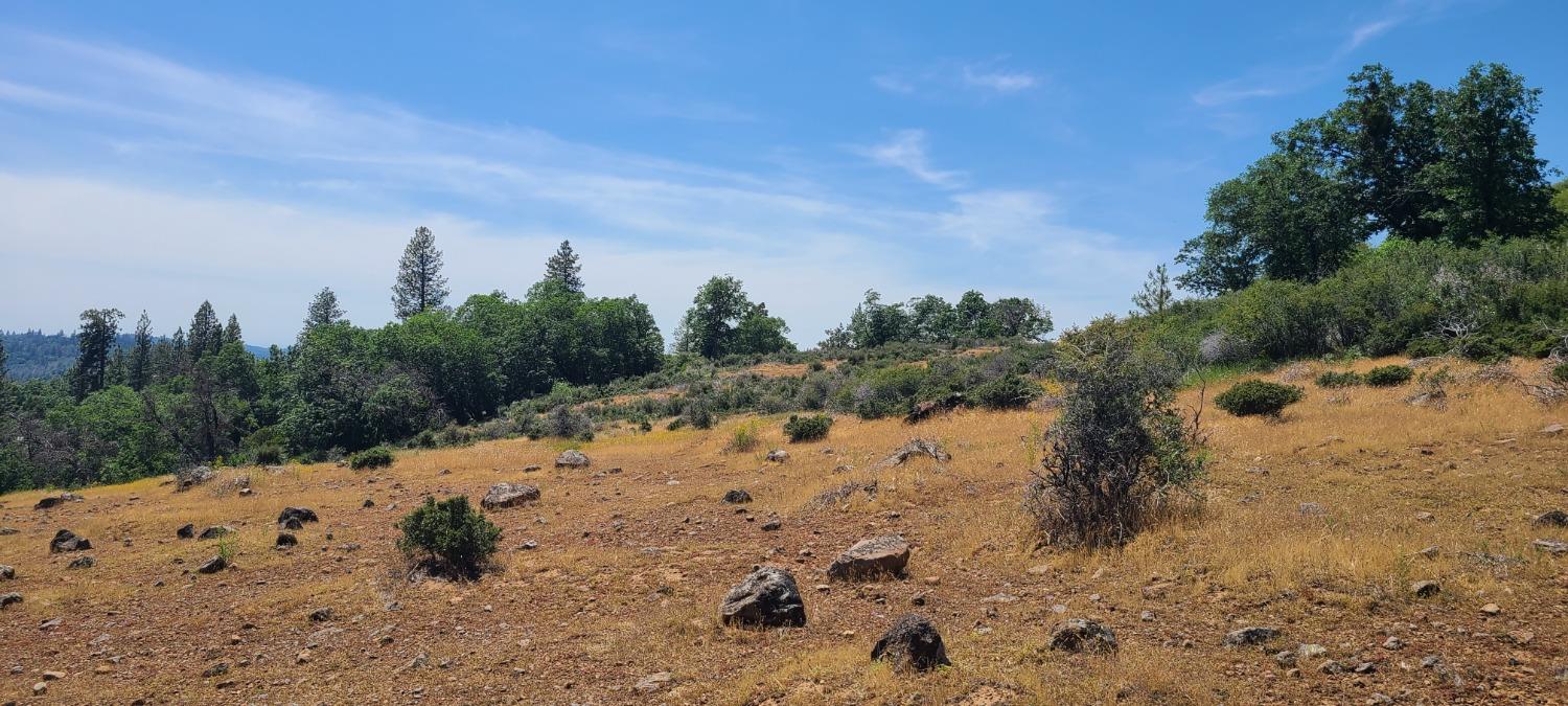 Canchalagua, Pollock Pines, California image 26