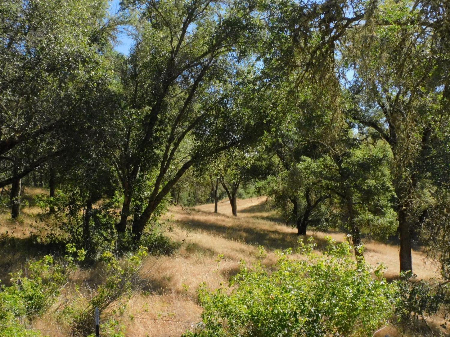 Union Mine Road, El Dorado, California image 14