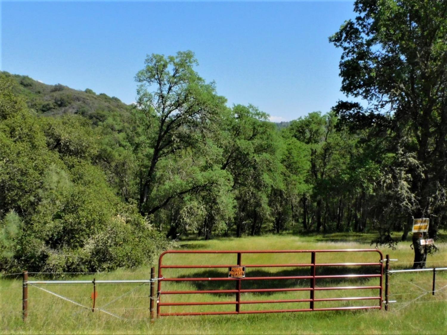 Union Mine Road, El Dorado, California image 17