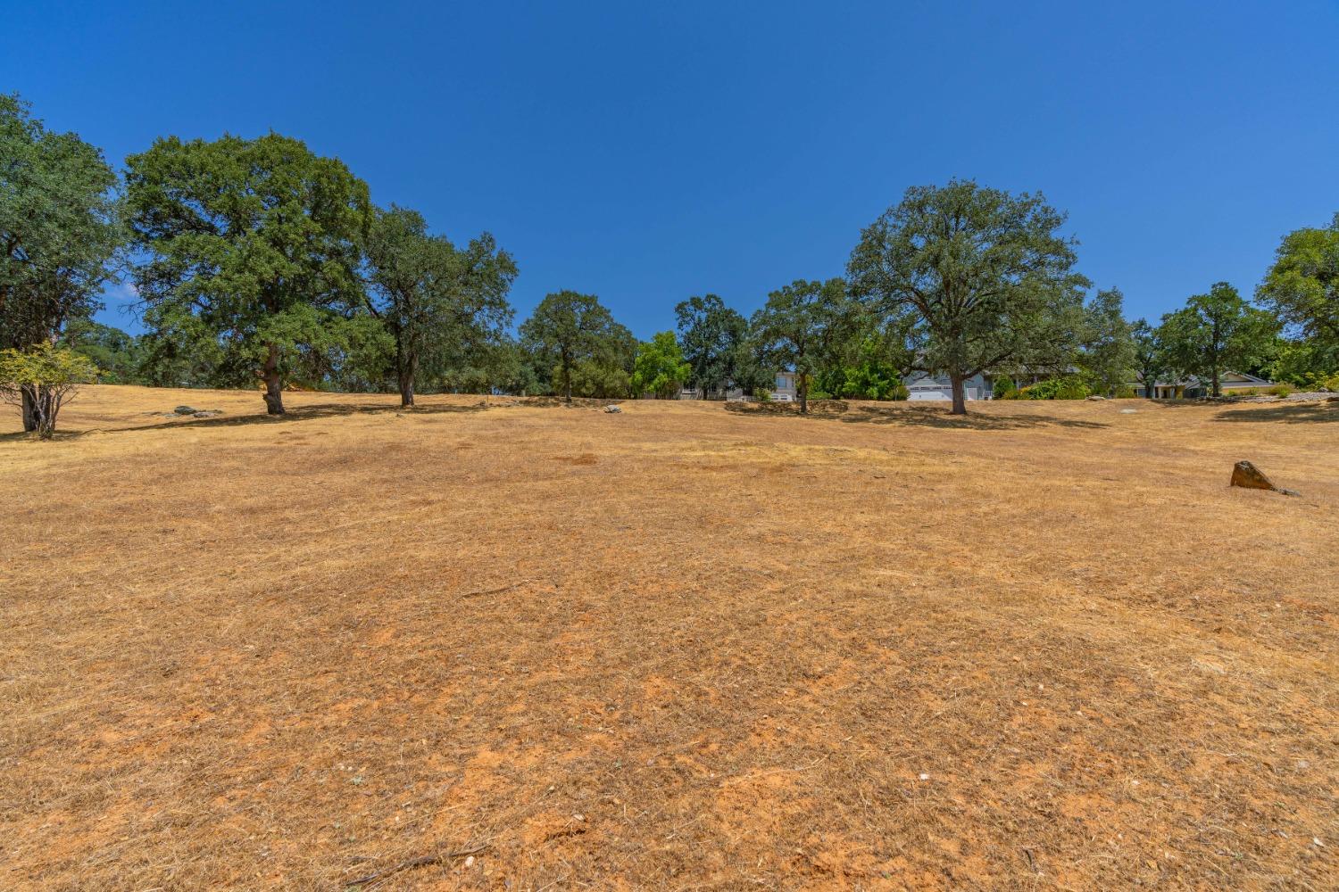 Live Oak Drive, Angels Camp, California image 8