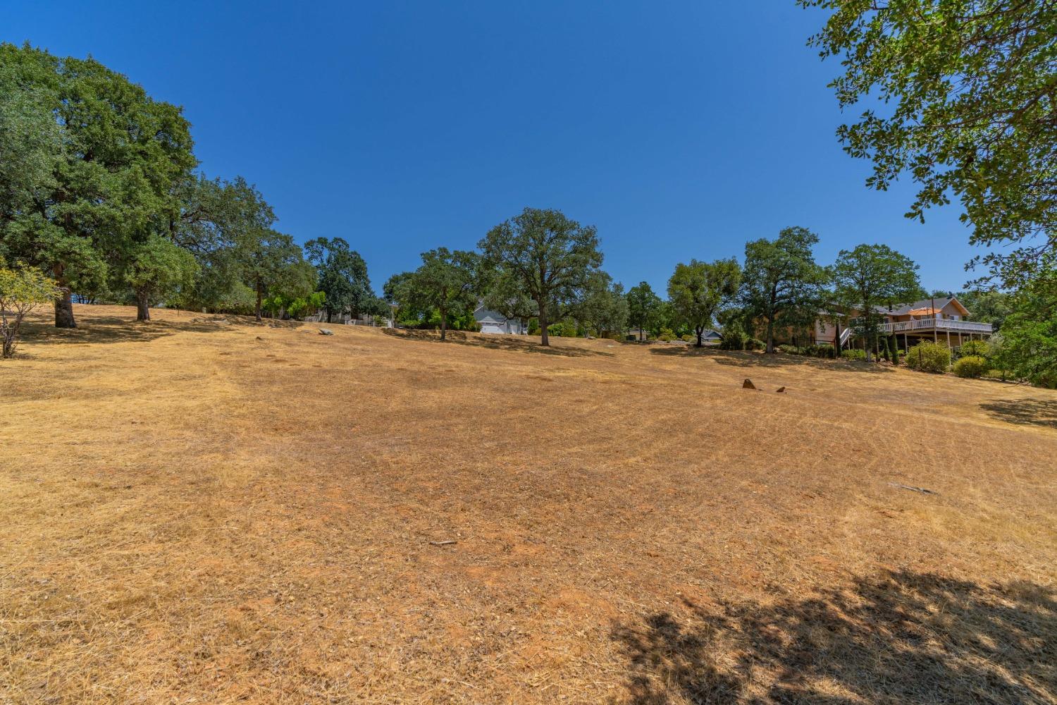 Live Oak Drive, Angels Camp, California image 10