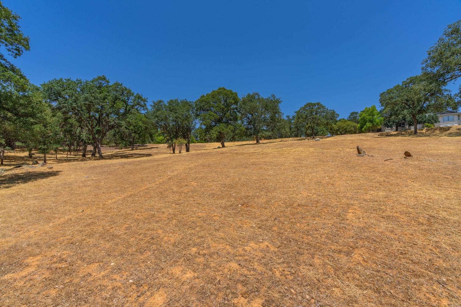 Live Oak Drive, Angels Camp, California image 9