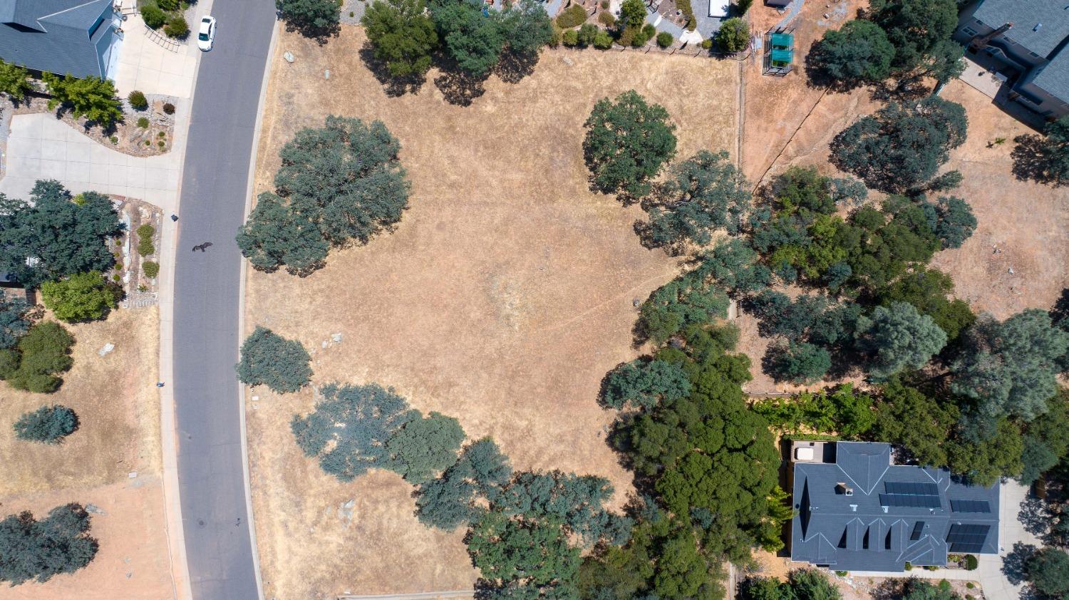 Live Oak Drive, Angels Camp, California image 16