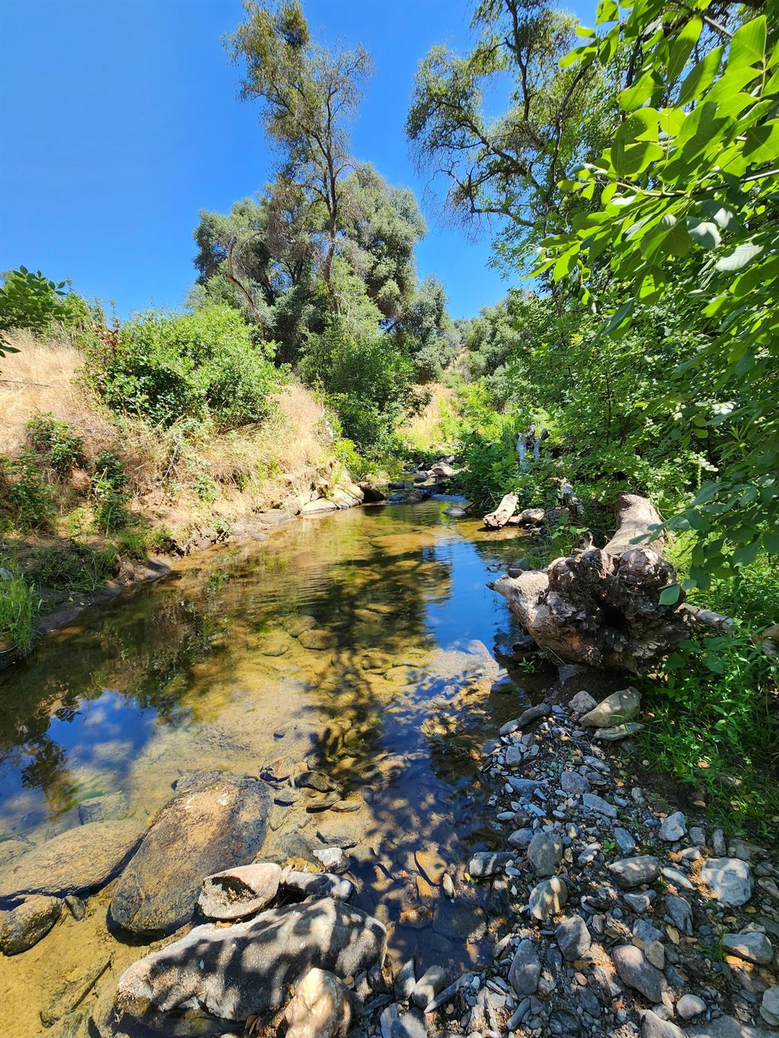 Willow Creek Road, San Andreas, California image 1