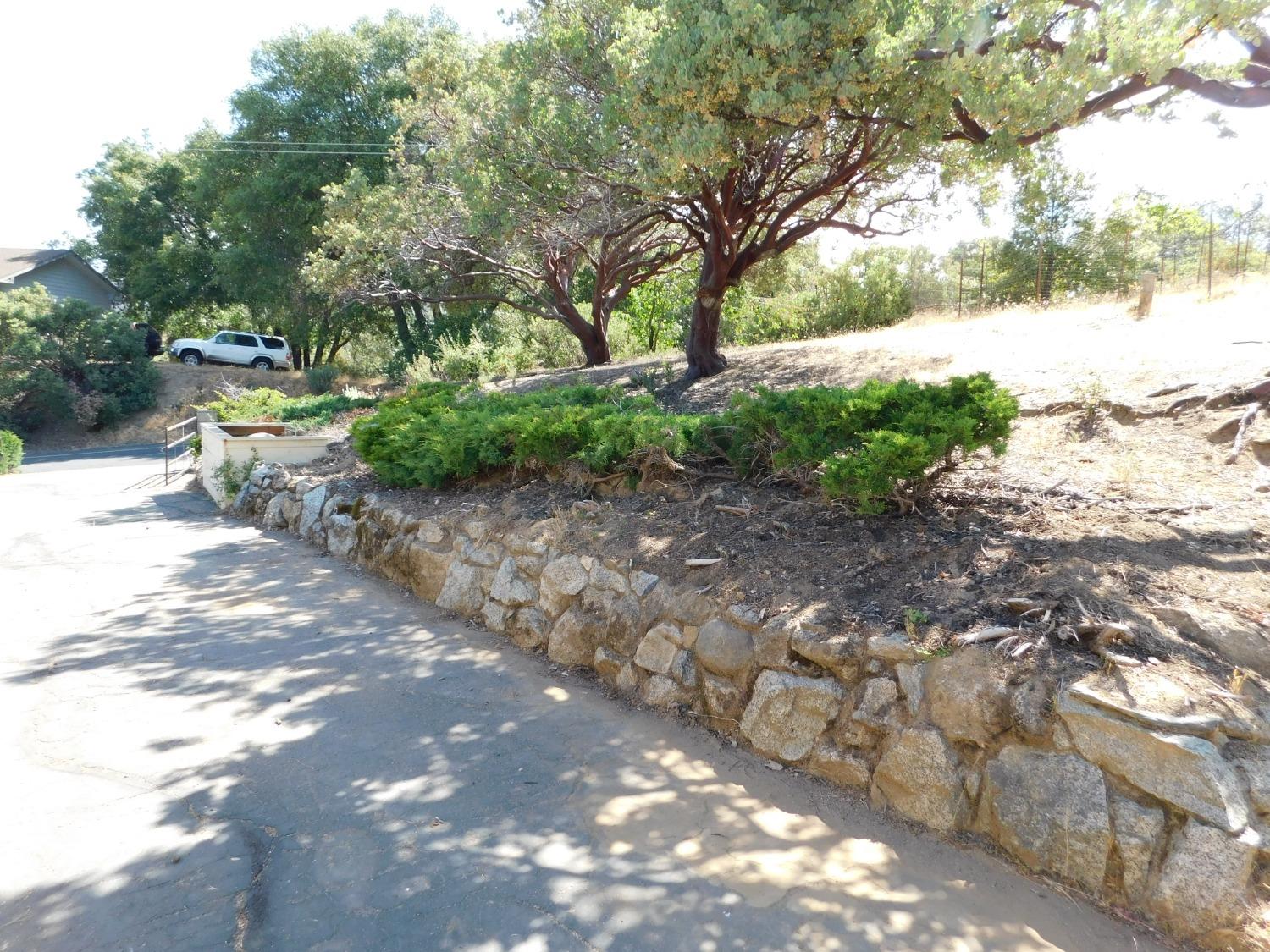 Clouds Rest Road, Mariposa, California image 6