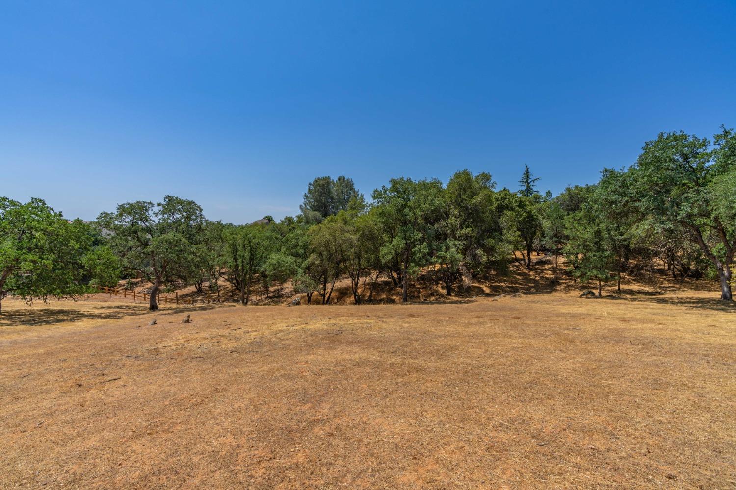 Live Oak Drive, Angels Camp, California image 6