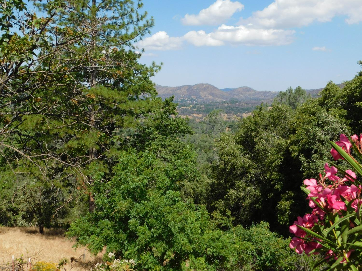 Clouds Rest Road, Mariposa, California image 15