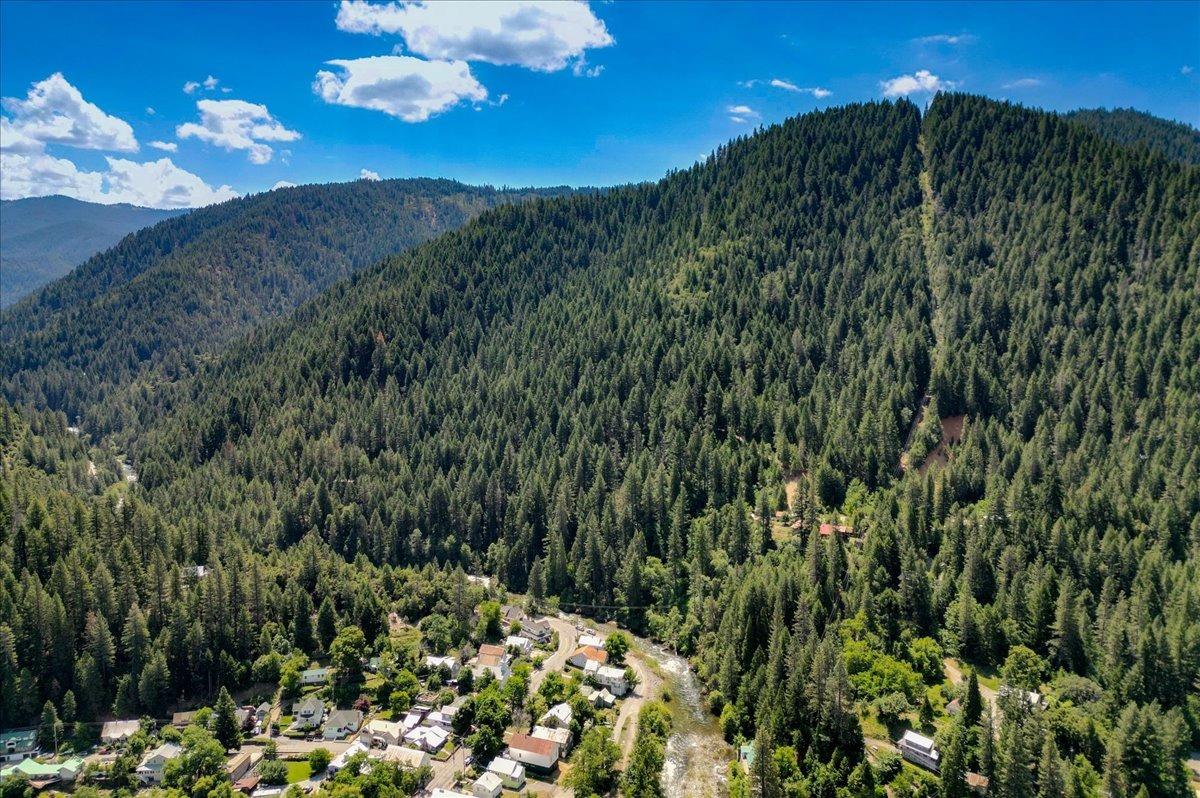 Ponta Ranch Road, Downieville, California image 47