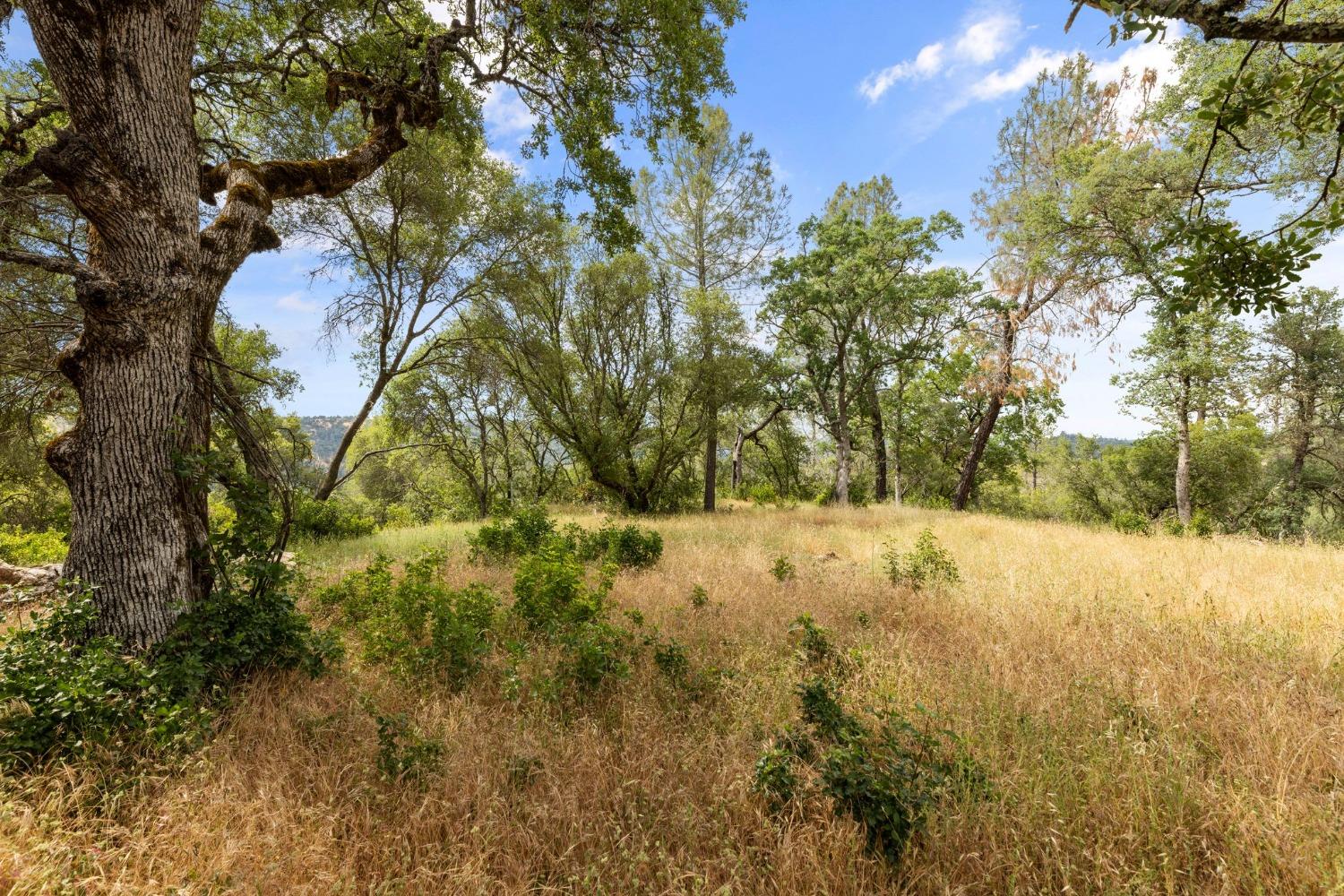 Bell Road, Plymouth, California image 3