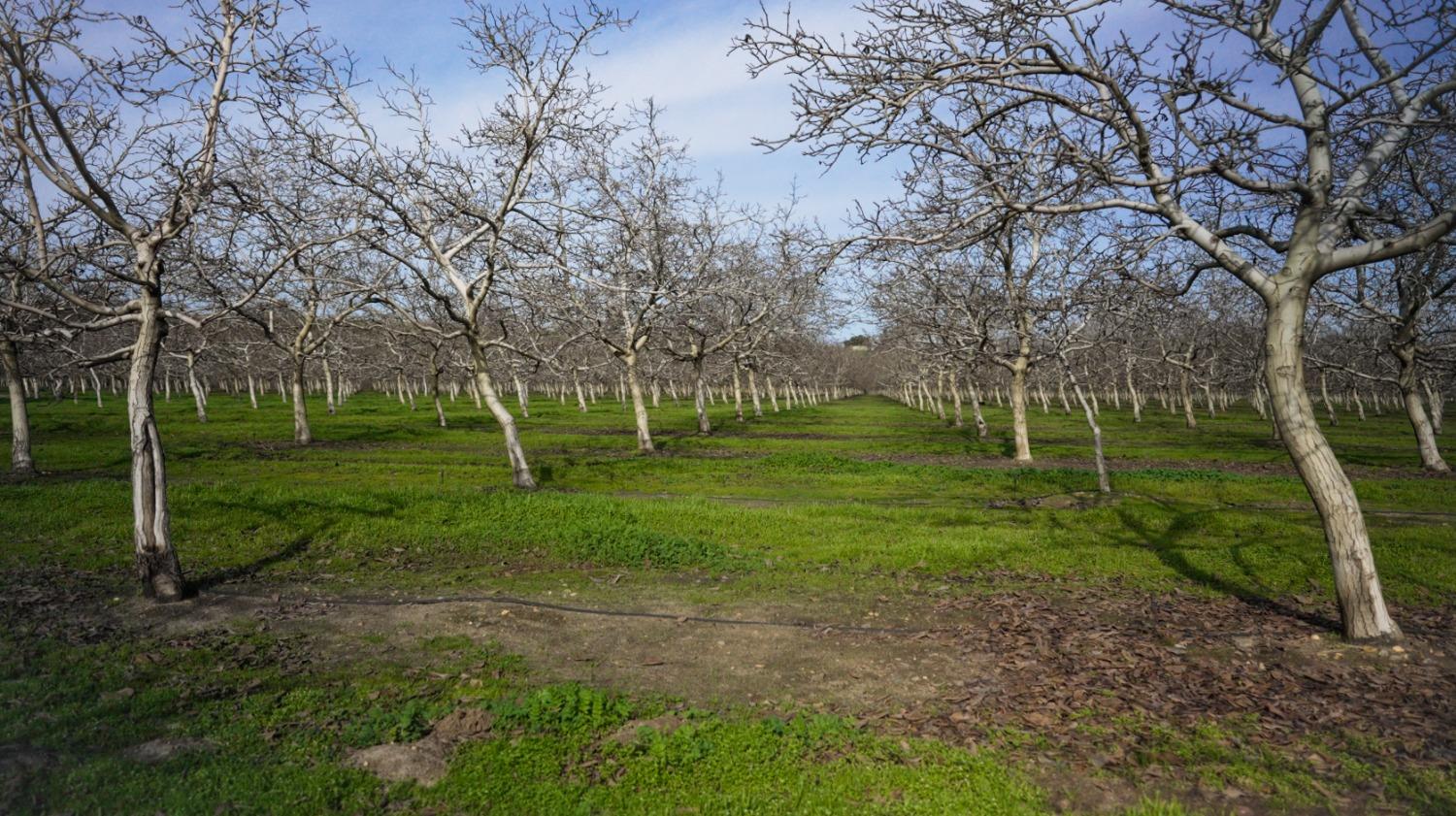 Oakdale Road, Winton, California image 5