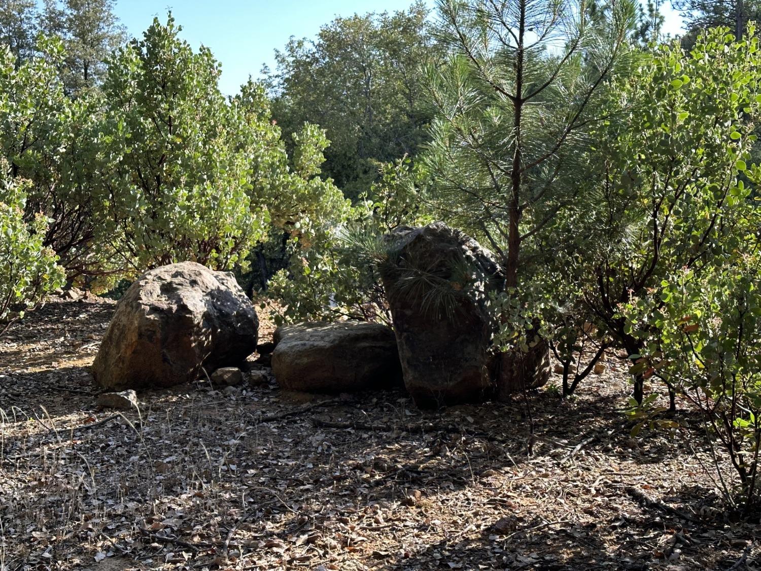 Petersen Ranch Drive, Pine Grove, California image 12