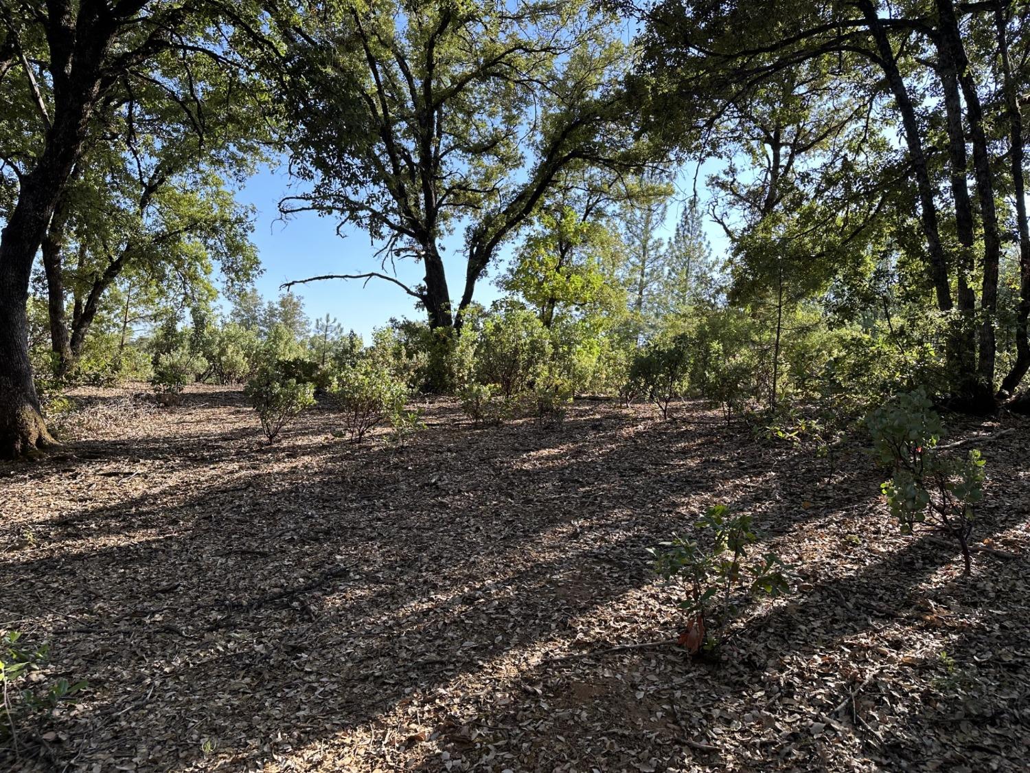 Petersen Ranch Drive, Pine Grove, California image 5