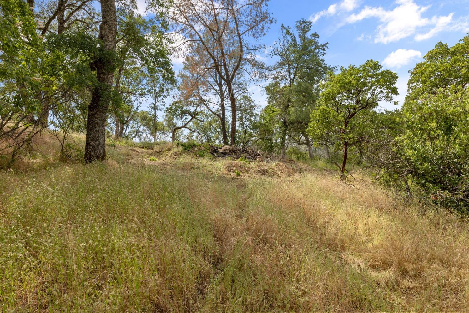 Bell Road, Plymouth, California image 6