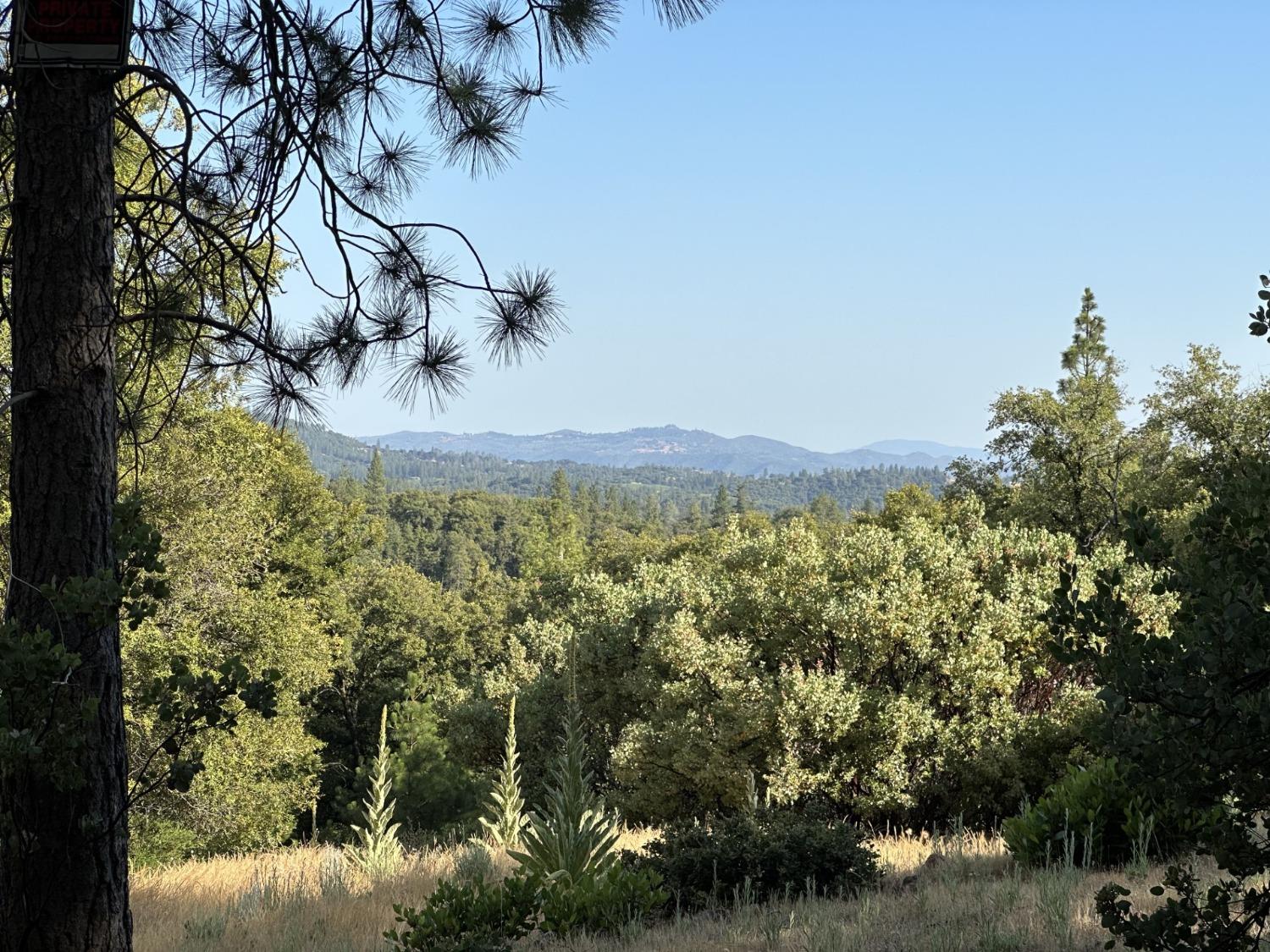 Petersen Ranch Drive, Pine Grove, California image 3