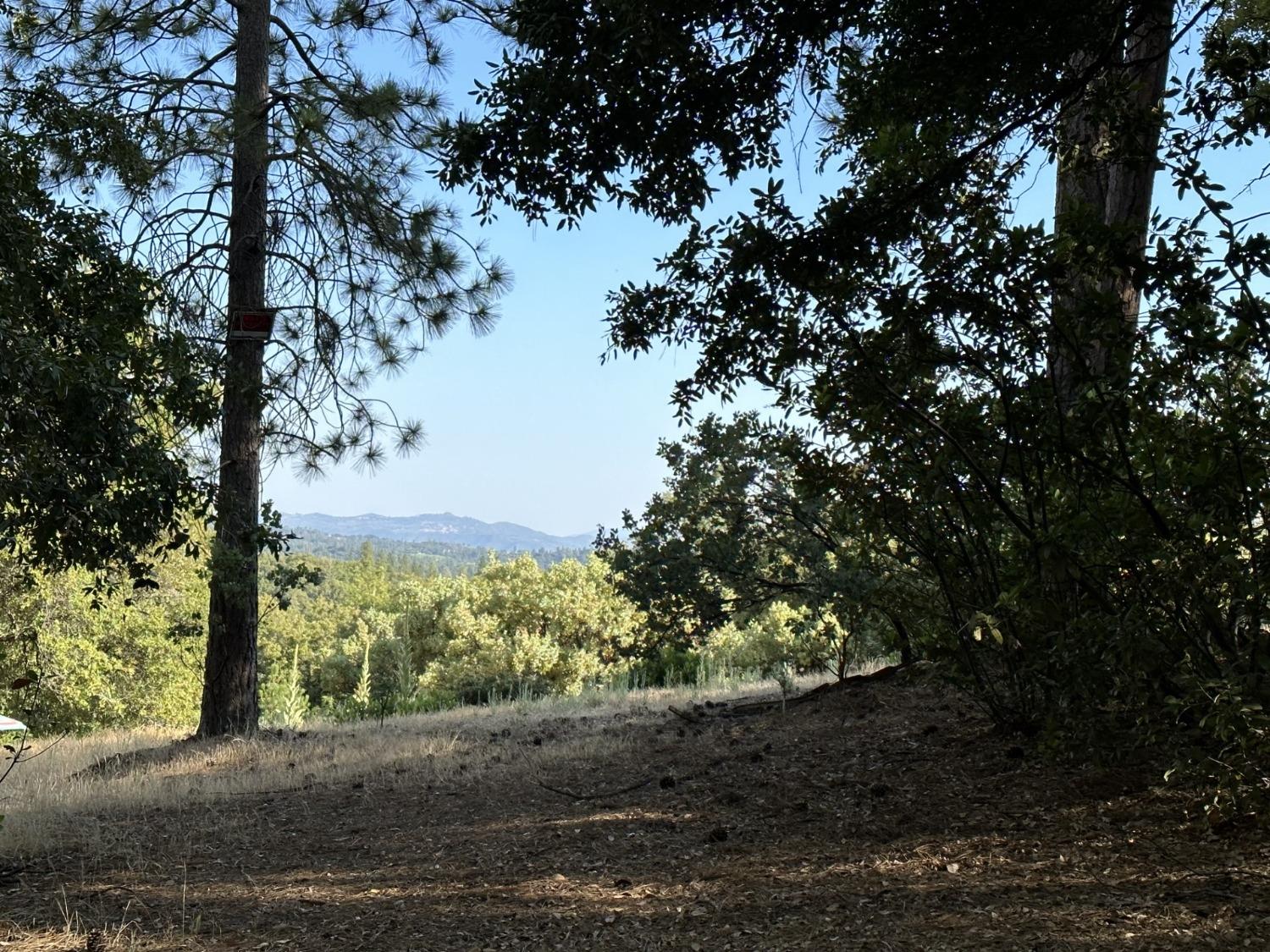 Petersen Ranch Drive, Pine Grove, California image 8