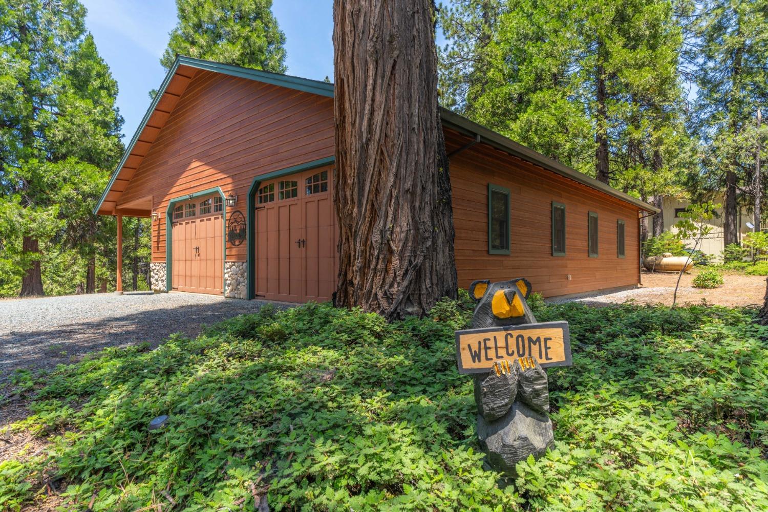 Photo of 27625 Hwy 88 in Pioneer, CA