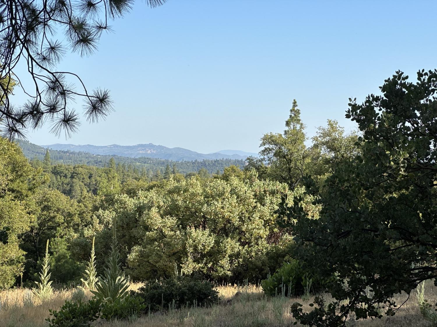 Petersen Ranch Drive, Pine Grove, California image 1