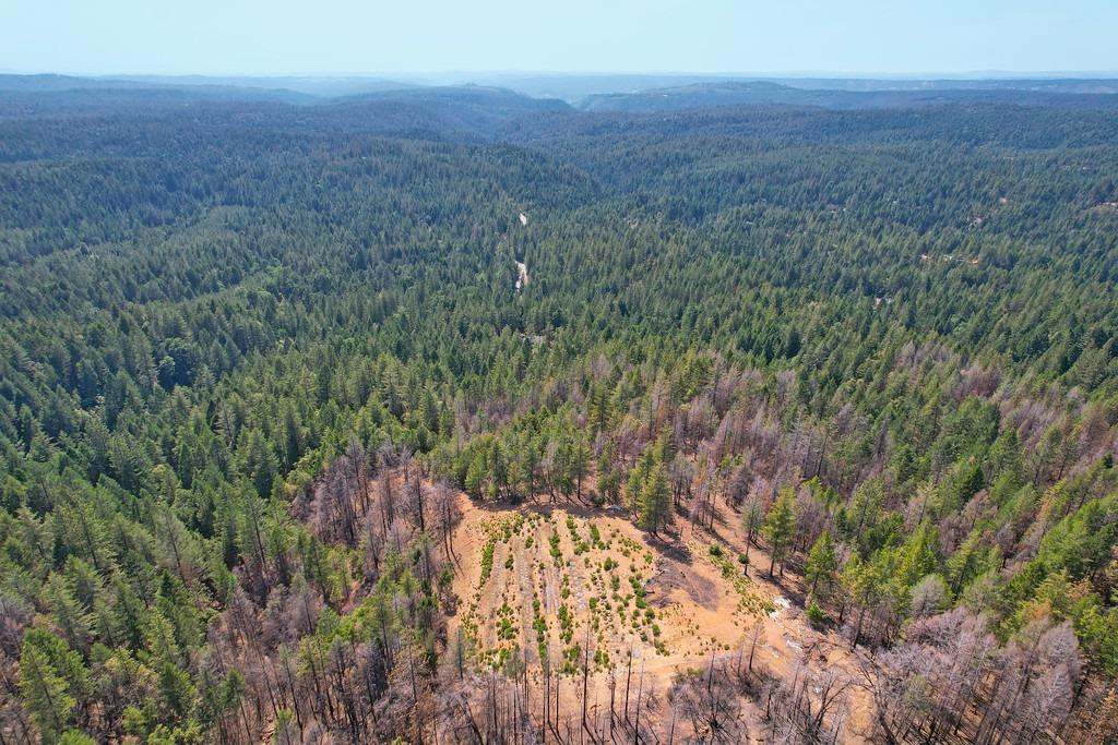 Lofty Peak Lane, Georgetown, California image 9