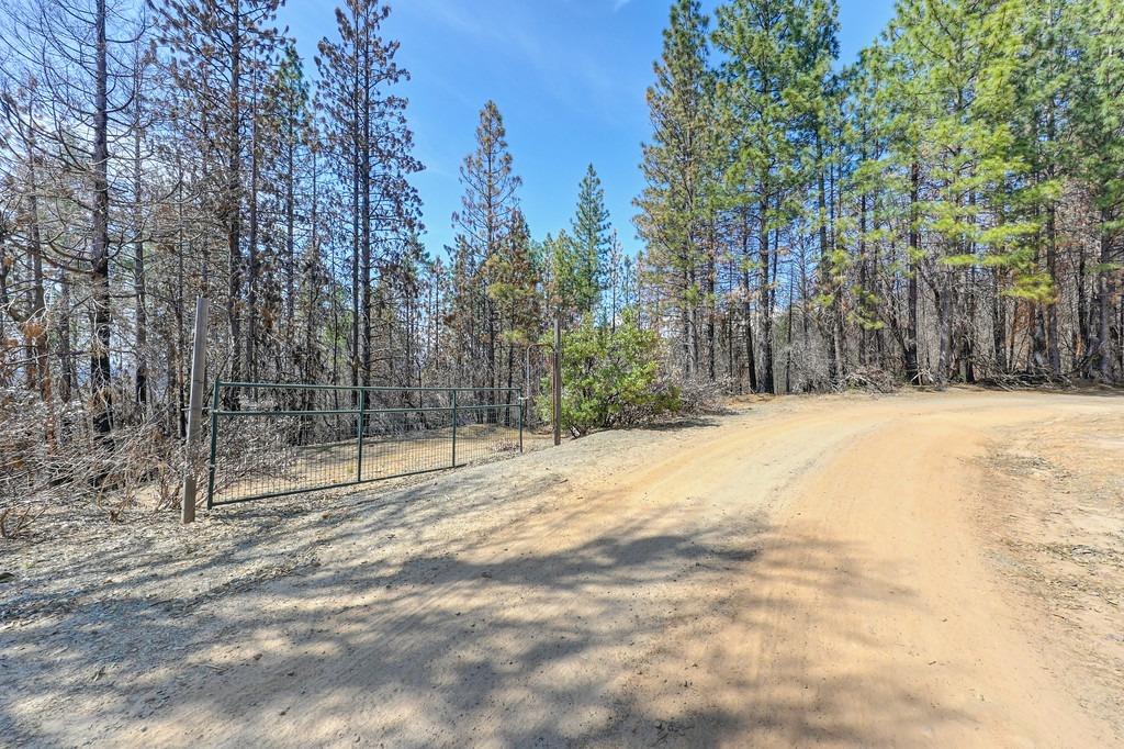 Lofty Peak Lane, Georgetown, California image 3