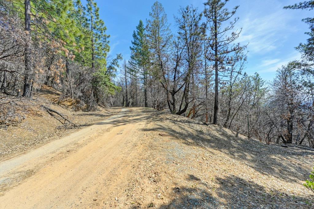 Lofty Peak Lane, Georgetown, California image 16