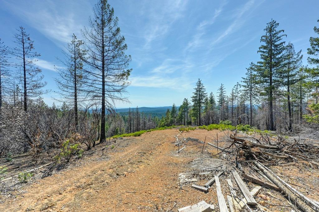 Lofty Peak Lane, Georgetown, California image 18