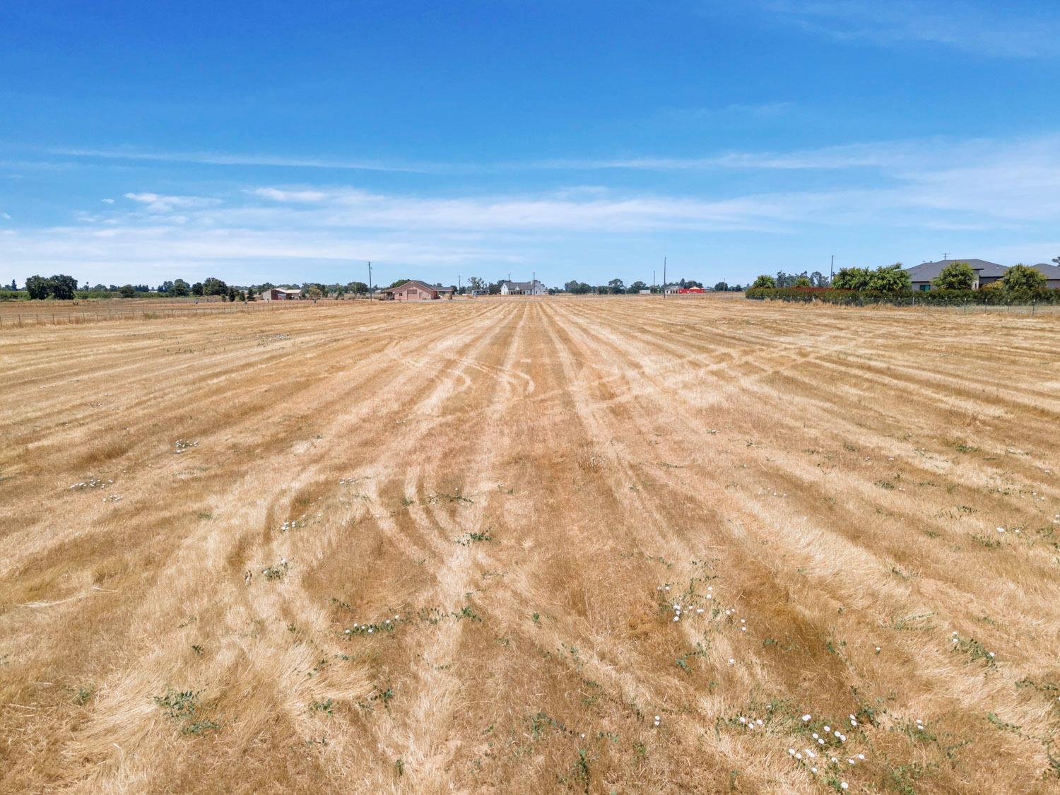 Alta Mesa Road, Herald, California image 16