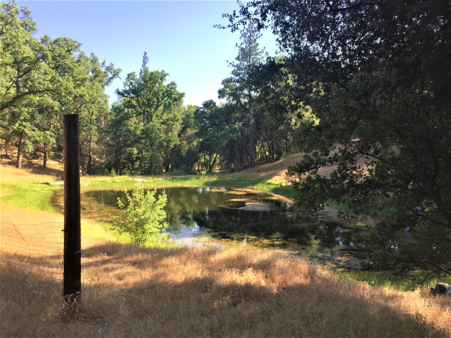 Cedar Creek Road, Fiddletown, California image 3