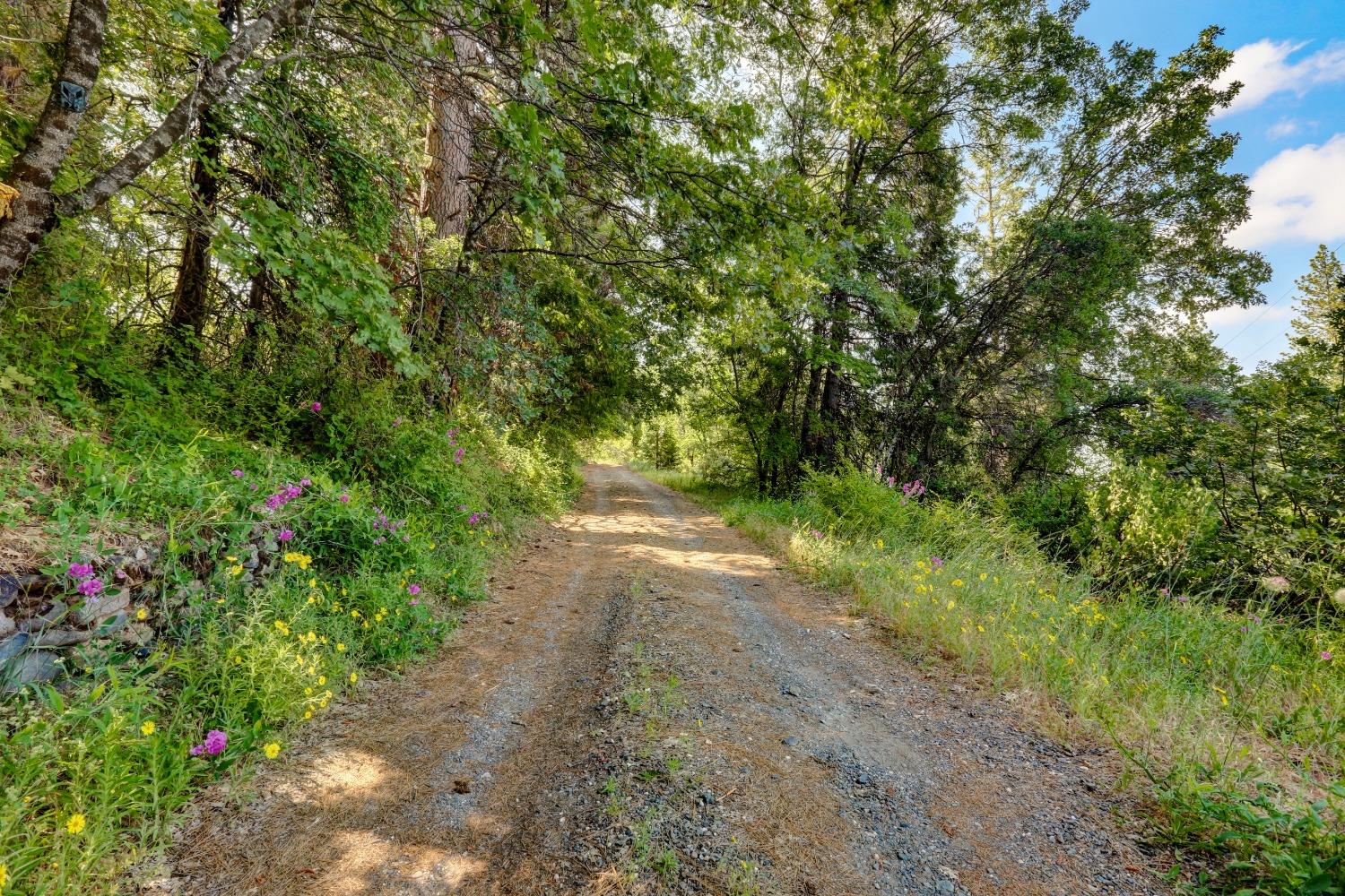 Photo of 11922 Becker Ln in Grass Valley, CA