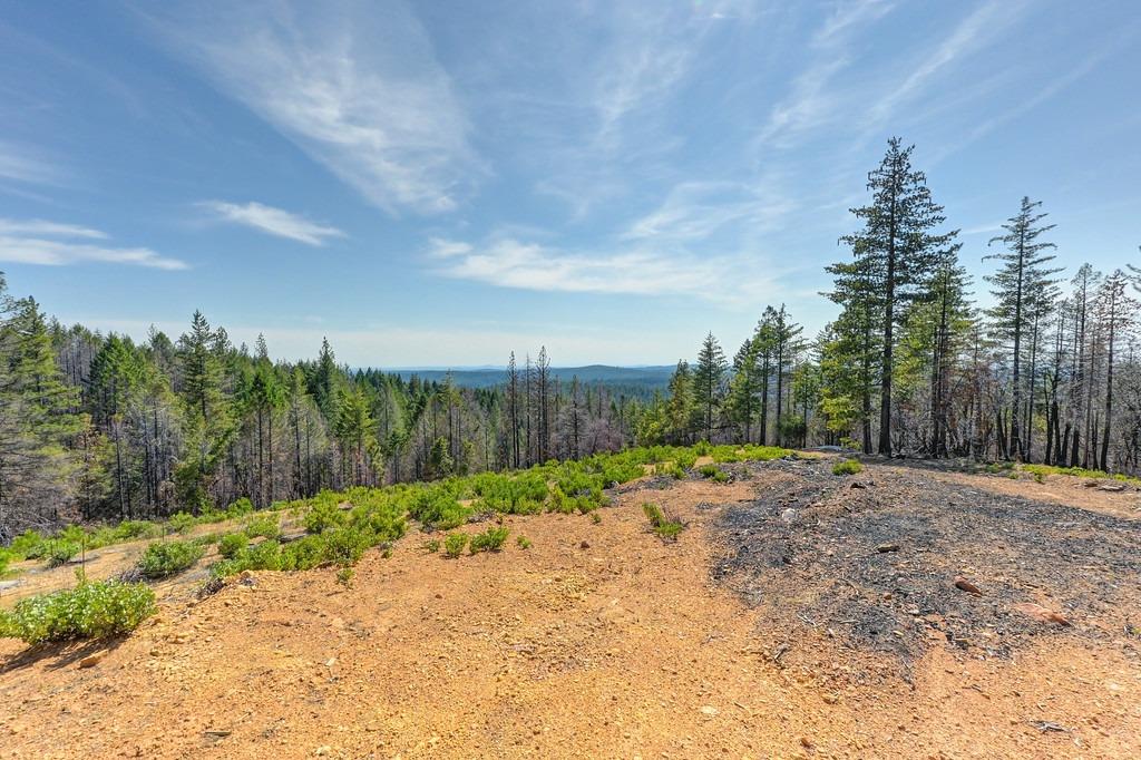 Lofty Peak Lane, Georgetown, California image 1