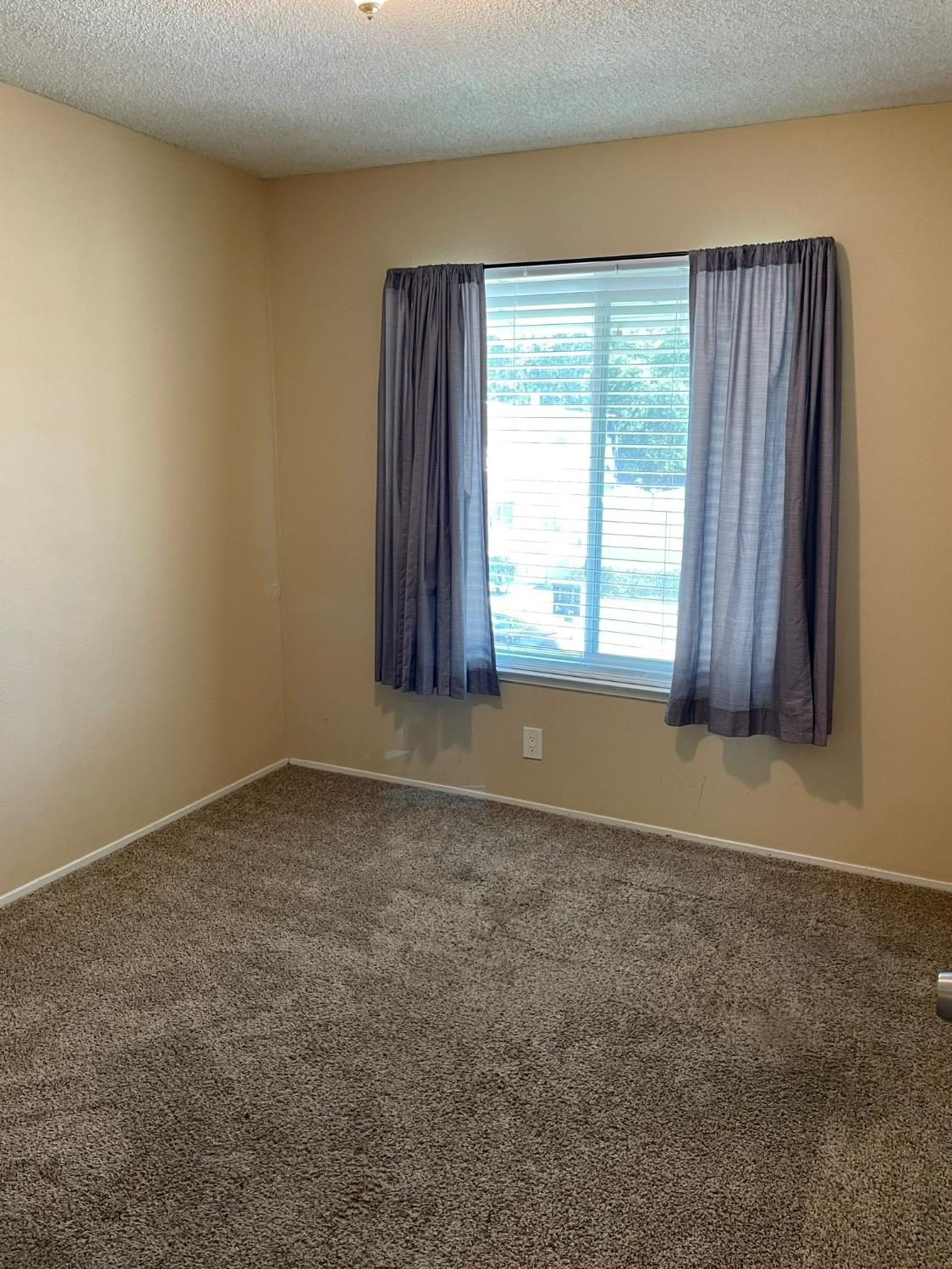 Photo #23: 223053756 Listing: Photo #23