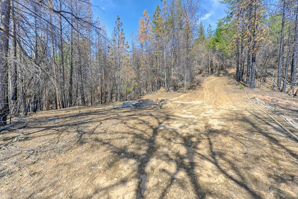 Lofty Peak Lane, Georgetown, California image 5