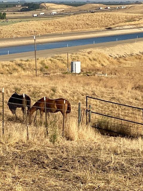 Shiells Road, Newman, California image 8