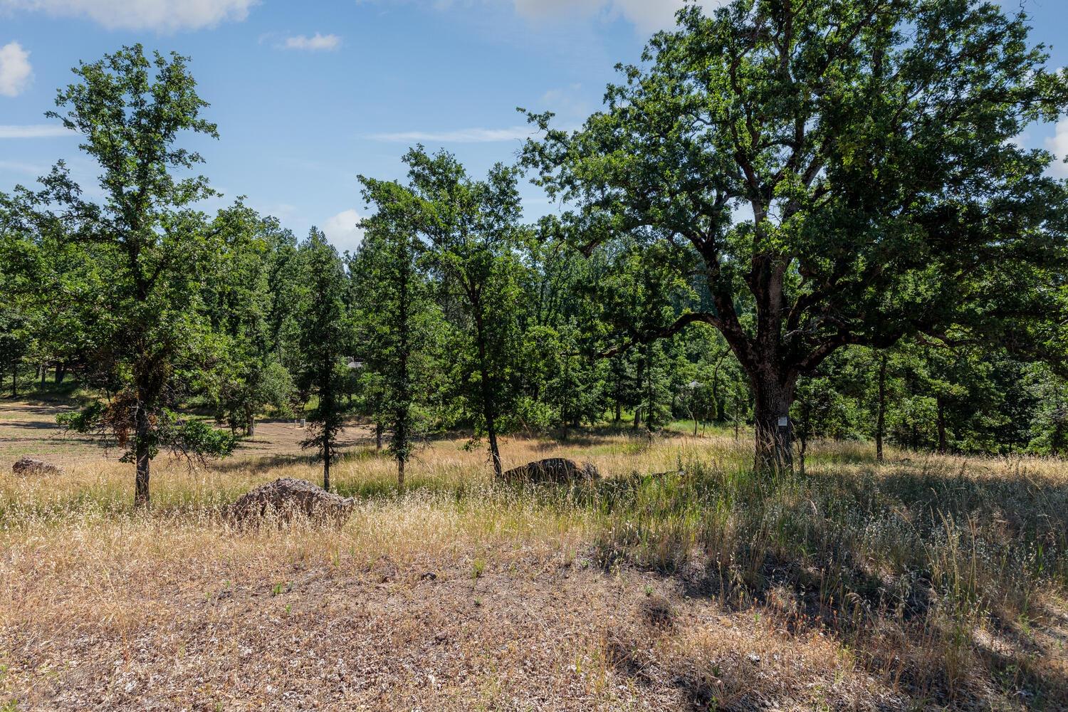 Detail Gallery Image 18 of 19 For 27269 Forrest Oak Rd, Pioneer,  CA 95666 - – Beds | – Baths