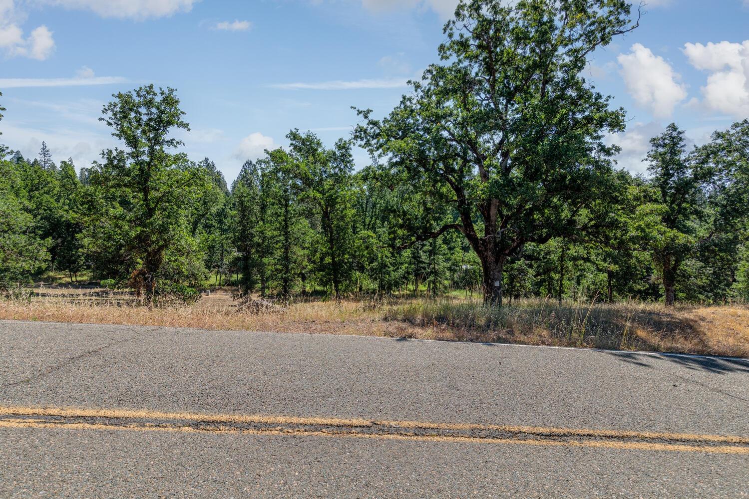 Detail Gallery Image 17 of 19 For 27269 Forrest Oak Rd, Pioneer,  CA 95666 - – Beds | – Baths