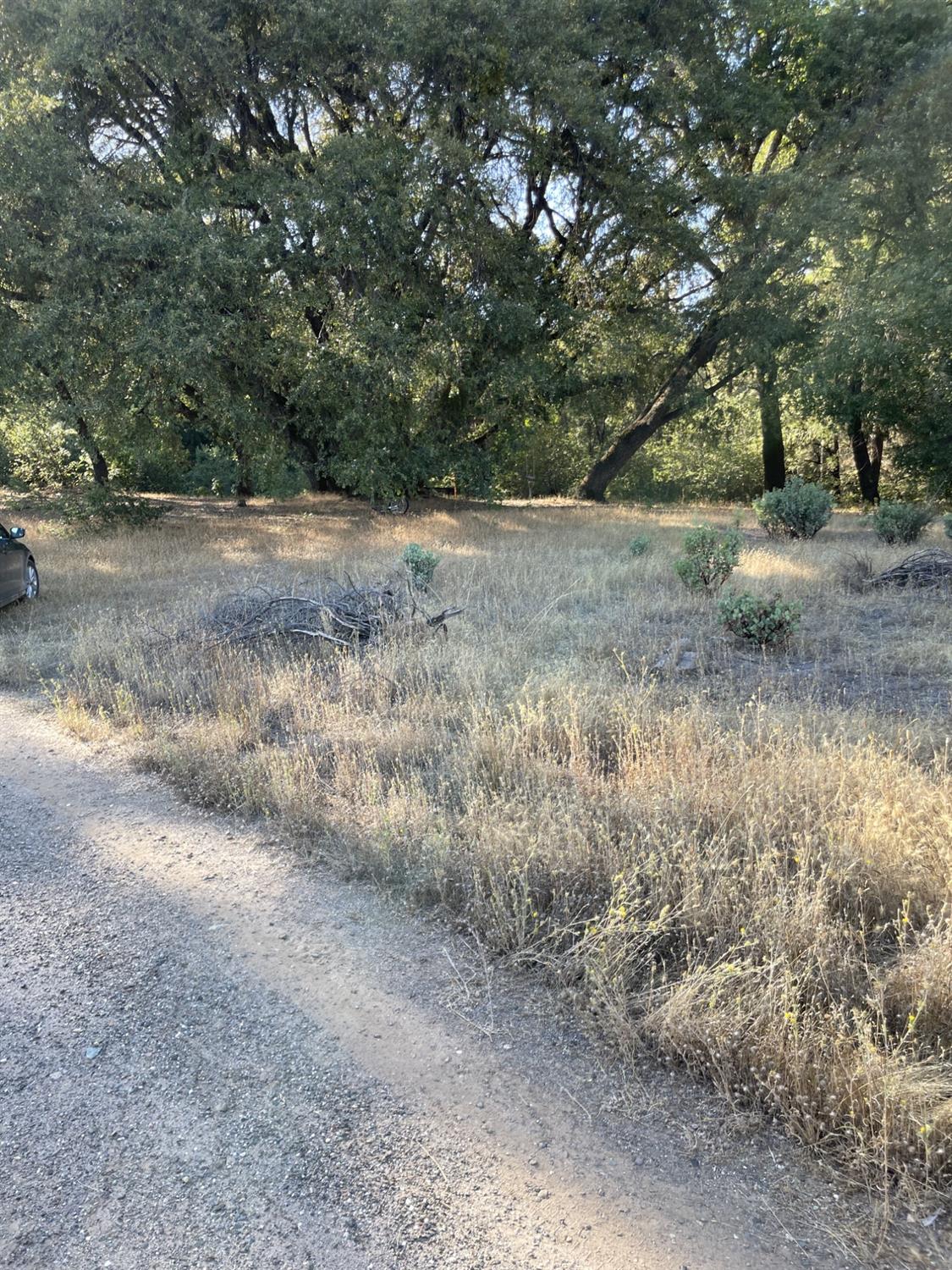 Canterbury Rd, Pioneer, California image 1